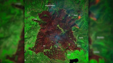 Más de 20.000 hectáreas calcinadas en Sanabria: las llamas destruyen el 70% del Parque Natural