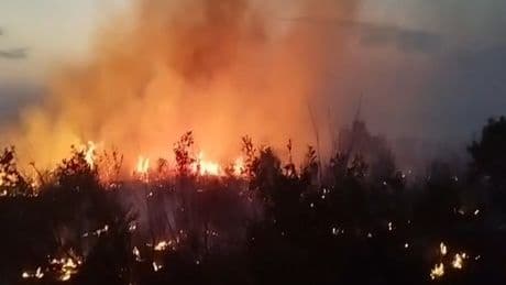 Diyarbakır'da örtü yangınları söndürüldü