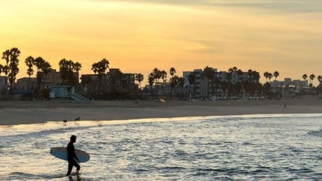 Pestbesmetting vastgesteld in Californië: kampeerder mogelijk gebeten door besmette vlo