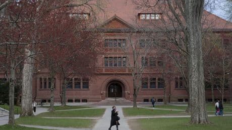 Onrust onder Nederlandse Harvard-studenten: ‘Niemand wil weggestuurd worden’