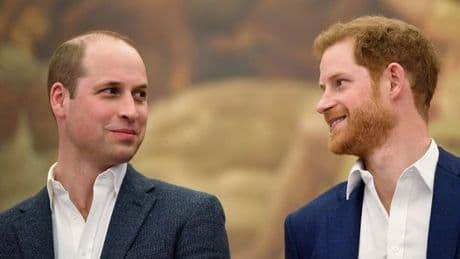 Princes William and Harry both in running for new role that could bring them together