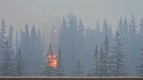 "Pris au piège": au moins deux morts dans un grand feu de forêt dans le centre du Canada