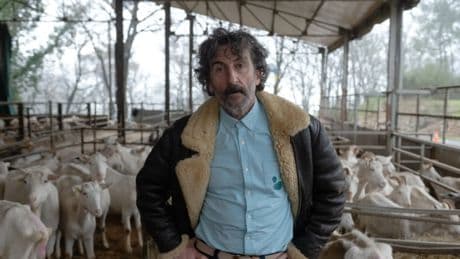 Luis Zahera, veterinario en apuros: 'Animal' ya tiene fecha de estreno en Netflix