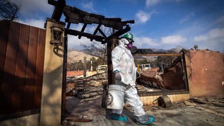 Insurer of last resort faces questions over smoke damage claims