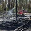 Feuerwehr: Zahlreiche Brände in Brandenburg - Feuer nahe dem Flughafen