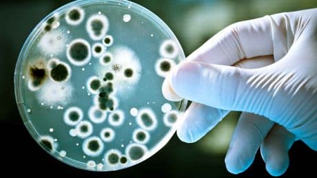 Una inteligencia artificial del MIT diseña antibióticos que combaten infecciones como la gonorrea resistente