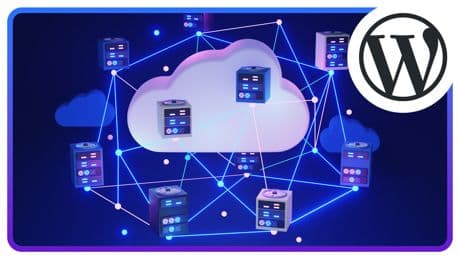 WordPress Hosting Test 2025: Das sind die besten Anbieter
