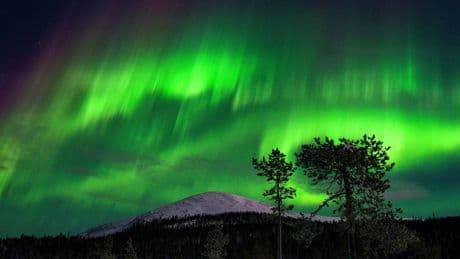 Northern Lights On Tuesday: 14 U.S. States On Aurora Alert