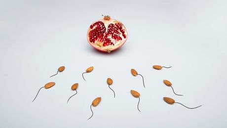 On nous a appris que le spermatozoïde le plus rapide féconde l'ovule: c'est complètement faux