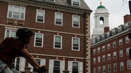 Trump Administration Broke the Law in Freezing Harvard’s Funding, Judge Says