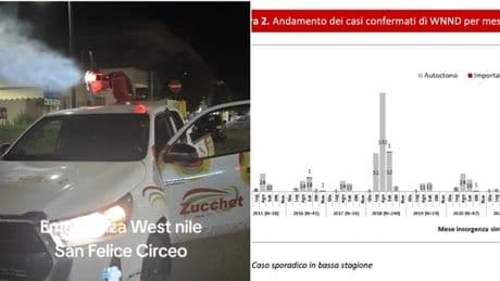 West Nile arriva in Puglia, i virologi: «Rischio boom di casi quest'anno». Quando il picco e dove
