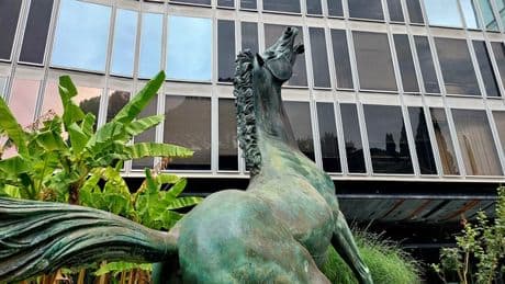 Rai, il ddl della Lega: nel cda un nome dalle Regioni e apertura ai privati per le partecipate