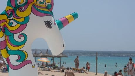 Kolumne „Hin und weg“: Virale Geheimtipps für Mallorca