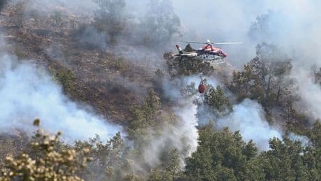 Catorce incendios graves no dan tregua a los servicios de extinción con una creciente preocupación por la zona de Sanabria
