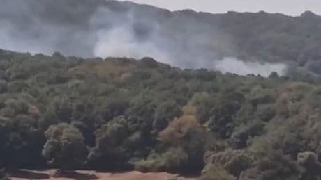 Sarıyer'de orman yangını