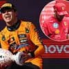 Lando Norris WINS the Hungarian Grand Prix and narrows gap on McLaren title rival Oscar Piastri - but it's more misery for Lewis Hamilton