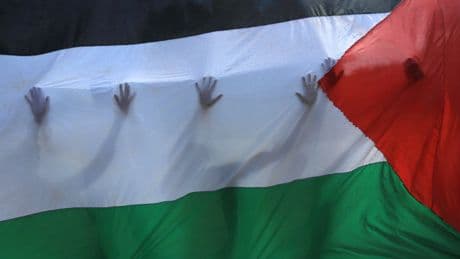 Demonstration | Linke ruft zu Gaza-Demo auf