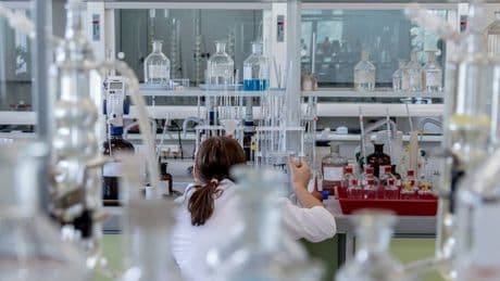 Il batterio "mangiacarne" fa 4 morti. "Occhio a molluschi e ostriche"