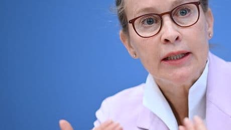 Kurzgutachten entlastet Brosius-Gersdorf – Streit um Wahl zur Verfassungsrichterin geht weiter