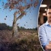 Bomen verliezen nu al hun bladeren: zorgt droogte voor vroegere start van de herfst?