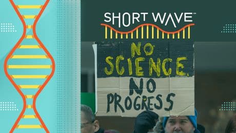 The Indicator: American science brain drain