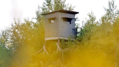 Tschechien: Jäger schießt Schatzsucher in die Brust