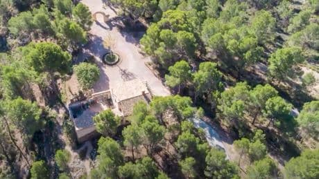 El valioso jardín botánico que se salvó del incendio de Ibi
