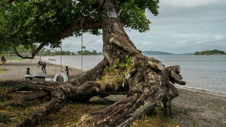 Landen zijn verplicht klimaat te beschermen, stelt Internationaal Gerechtshof in zaak Vanuatu