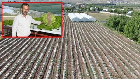 Topraksız tarımda devrim, herkes bu çiftçiyi konuşuyor! 70 günlük ürünü 30 günde yetiştirdi, kuralları yıktı geçti