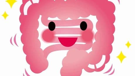 Tu dieta es 'tóxica' para tus tripas y no te lo acabas de creer