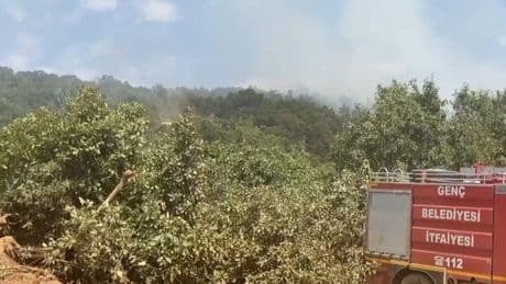 Bingöl Genç’te çıkan orman yangını kontrol altına alındı