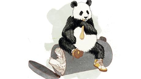 Van China naar Amazon via je zolderkamer