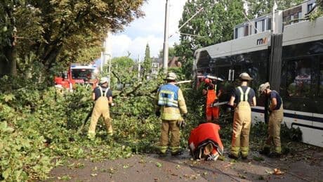 Unwetter: Gewitter-Wetter in Deutschland – Baum kracht auf Straßenbahn