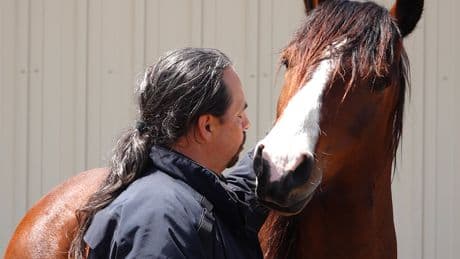 Memorial Day: Wild mustangs help veterans heal through Wyoming ranch program