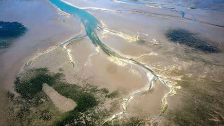 Meeresnaturschutz: Experten beraten zu Rückgang von Seegraswiesen im Wattenmeer