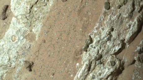 "Un résultat tout à fait fantastique": qu’est-ce que cette forme de vie découverte sur Mars et annoncée par la Nasa?