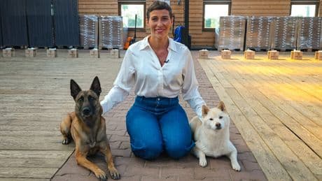 In 5 Minuten erkennen - Diese süßen Hunde erschnüffeln Lungenkrebs