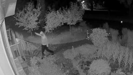 Suspect makes Nazi salute before ripping down Pride flag in High River