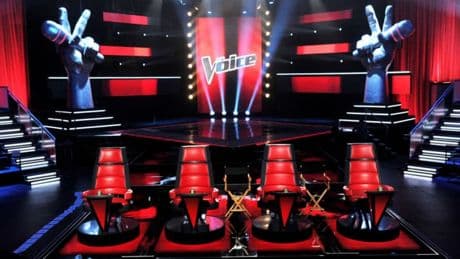 "The Voice": le grand vainqueur de la saison 14 l'emporte avec la moitié des voix