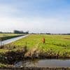 Op laagste punt van Nederland moet een compleet nieuw dorp verrijzen, nu dreigt het te verdrinken in miljoenenverlies
