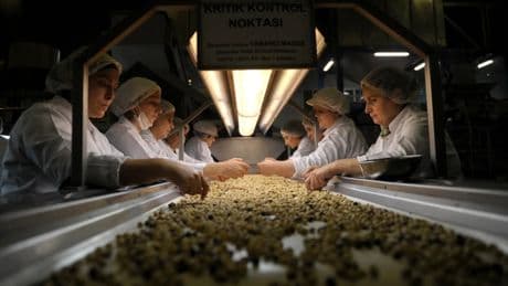 Kleine türkische Nussernte: Wird Nutella jetzt teurer?