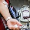 Aktion vom Roten Kreuz: Was Menschen auch bei Hitze zum Blutspenden animieren soll