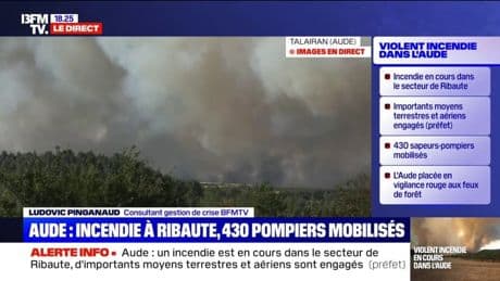 Incendie dans l'Aude: "Le temps que j'aille jusqu'aux vignes en voiture, c'était trop tard", déplore Laurent, vigneron à Corbières