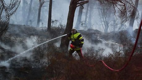 Incendies: les Bouches-du-Rhône en risque "très élevé" de feux de forêts, 7 départements en risque "élevé"