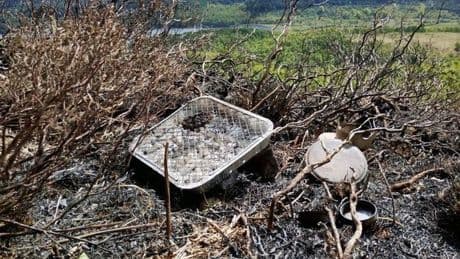 Barbecue which sparked Trossachs blaze found with charred burger on top