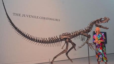 La spéculation sur les fossiles de dinosaures inquiète les scientifiques