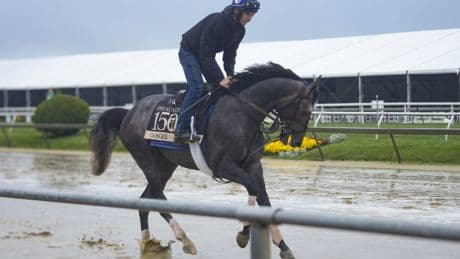 A Preakness Stakes long shot is named after an obscure Met