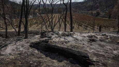 Incendie dans l’Aude : le week-end du 15 août sous un « très haut niveau de vigilance »
