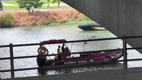 Buscan a una persona que se tiró al Guadalquivir desde el Puente del Cachorro de Sevilla