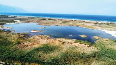 Su geldi, Milleyha şenlendi: 10 dakikada 25 kuş sesi